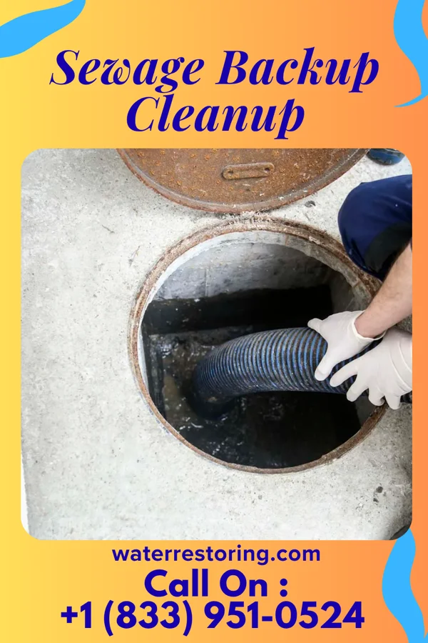 Sewage Backup Cleanup in Weston Mills, NY