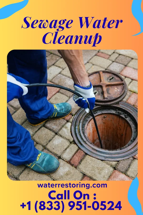Sewage Water Cleanup in Weston Mills, NY