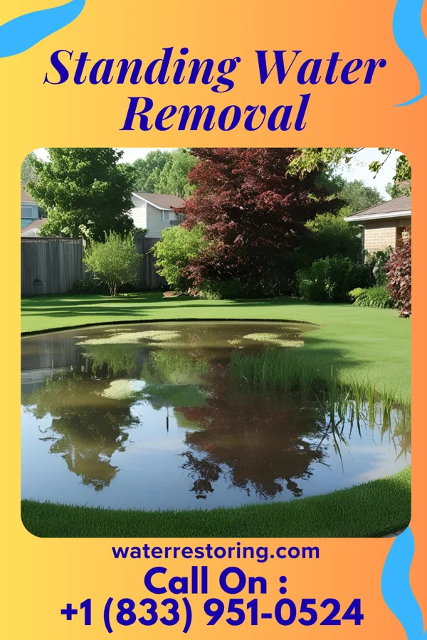 Standing Water Removal in Weston Mills, NY